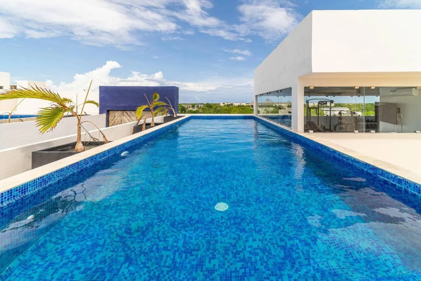 King Suite With Private Balcony, Gym, Rooftop Pool Tulum 0*,